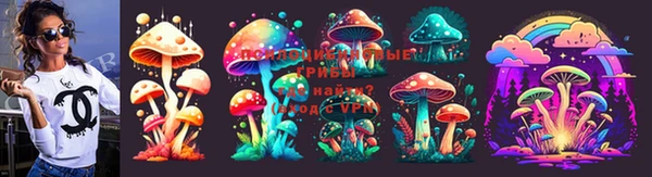 тгк Баксан