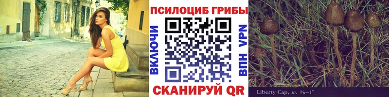 мега ONION Плёс Галлюциногенные грибы Magic Shrooms что такое
